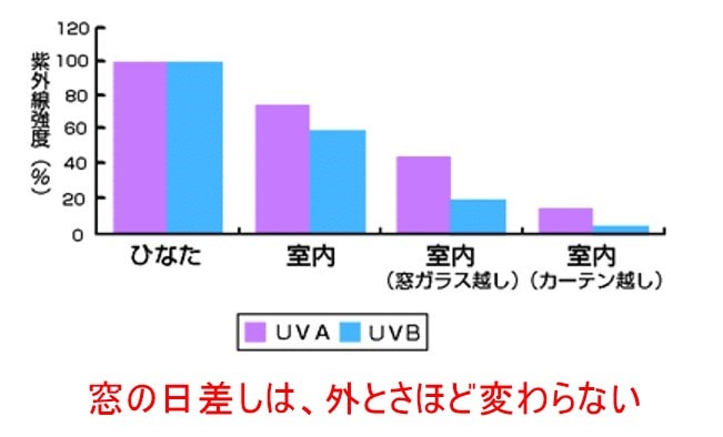 窓の日差しは、外とさほど変わらない